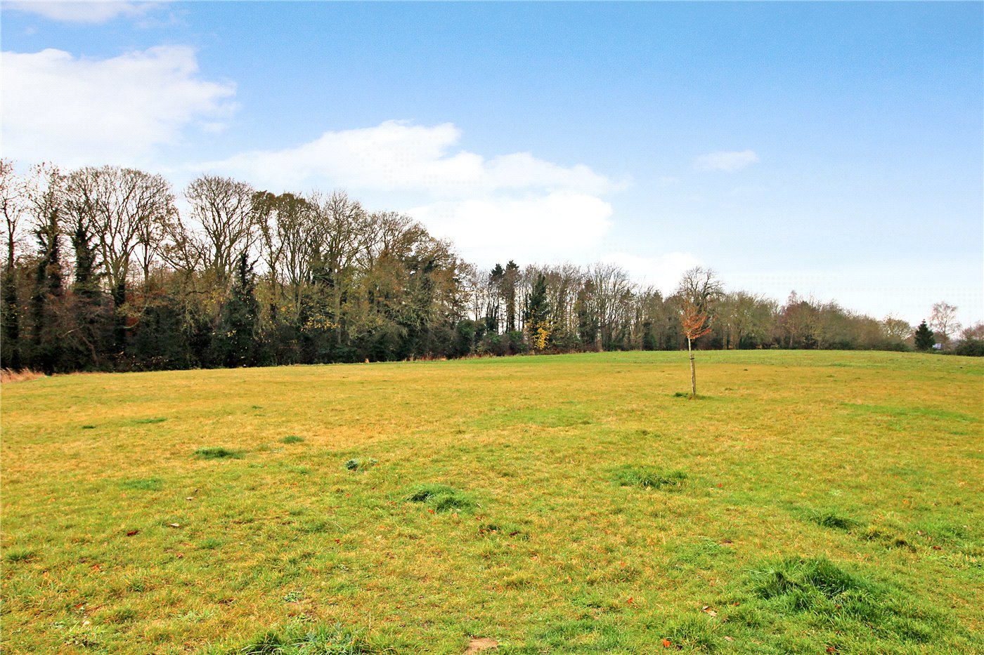 Open Space